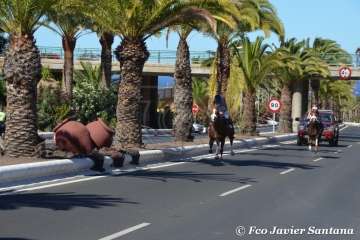 Carreras de caballo de las fiestas de San Juan 2018 de Telde (Foto Francisco Javier Santana)